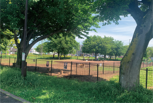 篠崎公園ドッグラン
