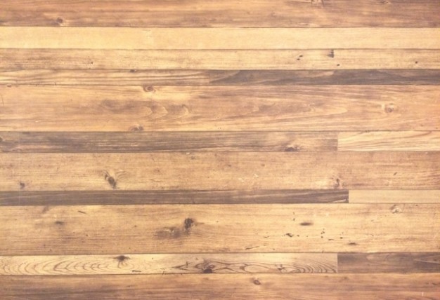 新人が入りました