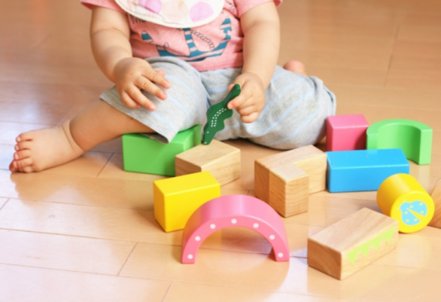 5歳児、江戸川区立小学校「学校選択制」について